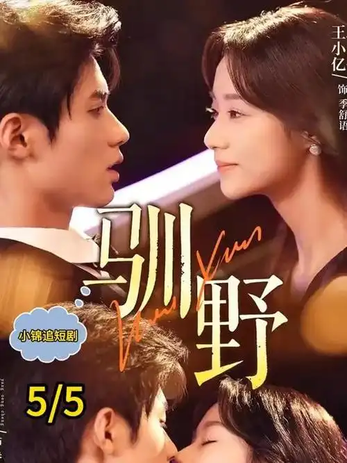 尘世孤岛热播电视剧全集免费在线观看